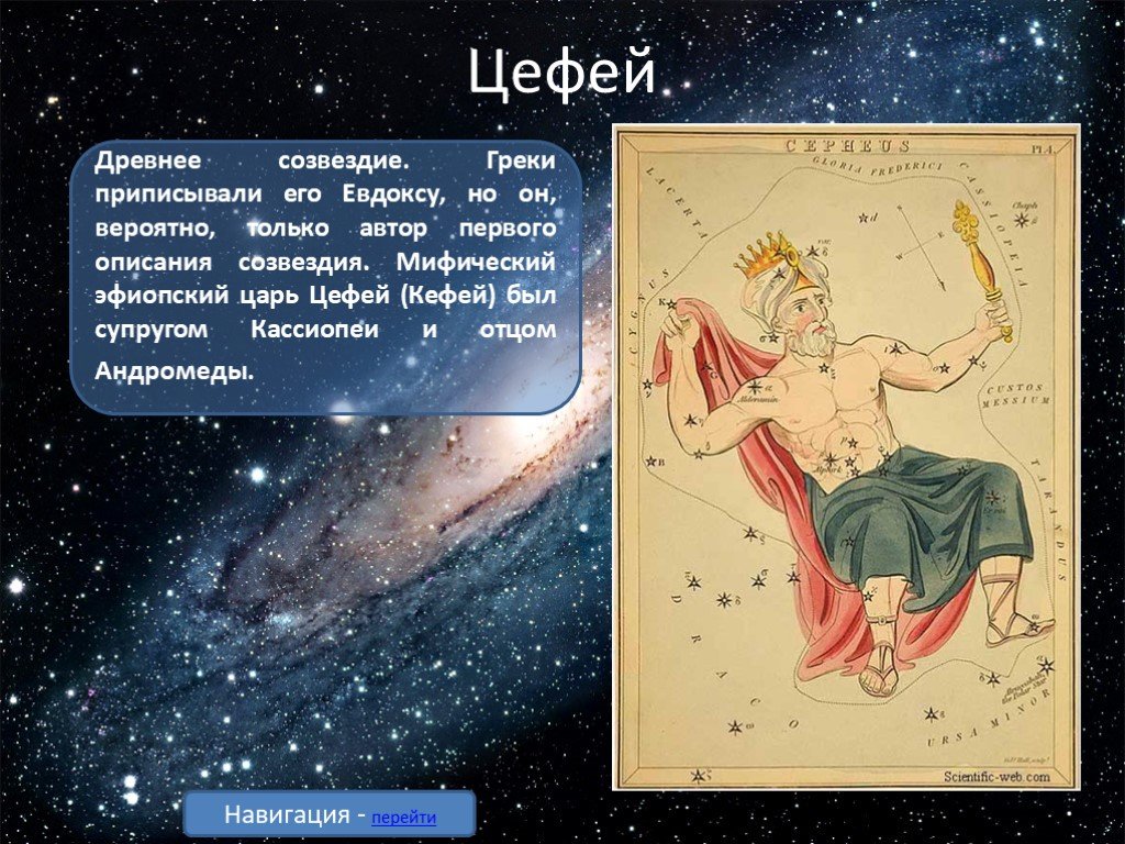 Астролог 1000 Рублей Консультация Созвездие Ольги