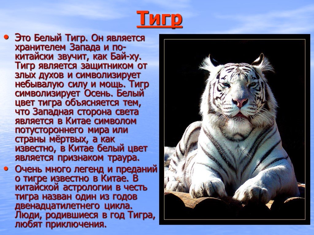 Гороскоп Тигр Мужчина Жесткий Характеристики
