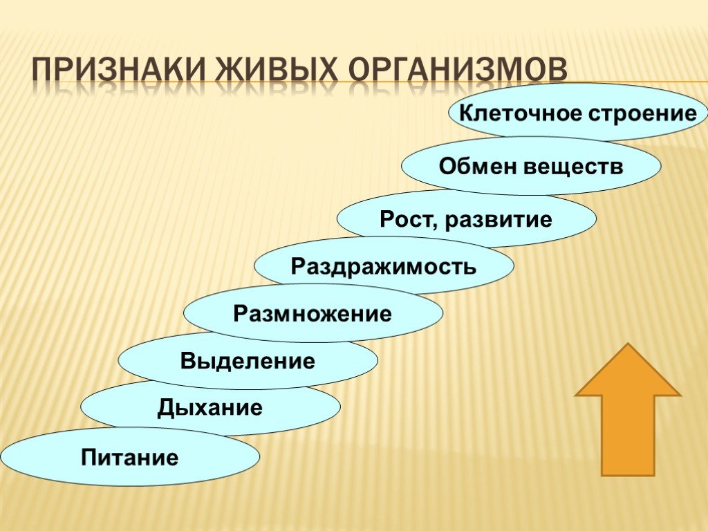 Признаки живых организмов картинки