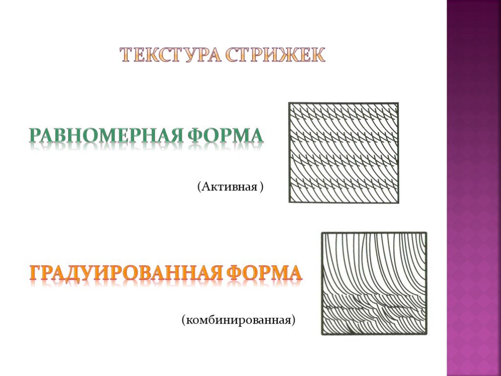 Равномерная стрижка форма и текстура и структура