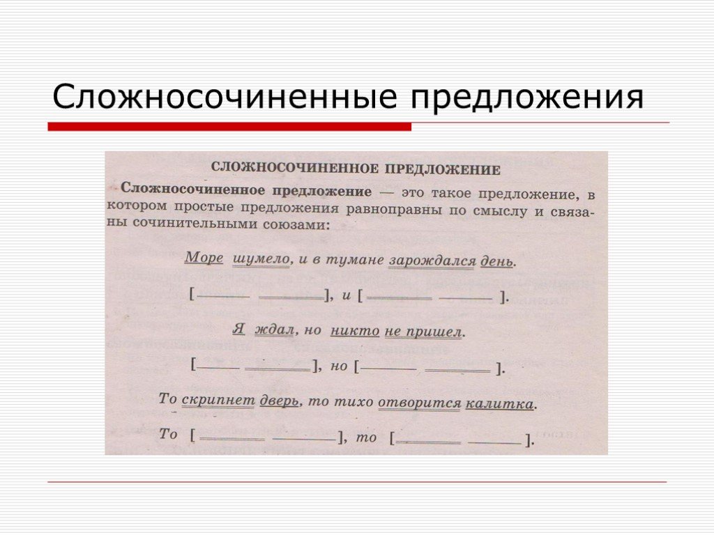 Сложносочиненное предложение образцы