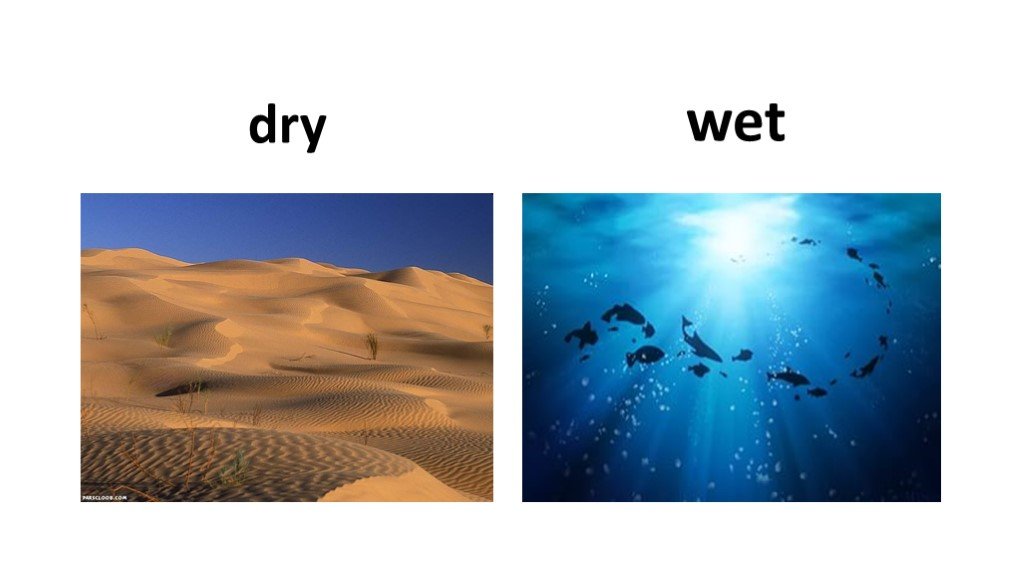 Dry wet compilation