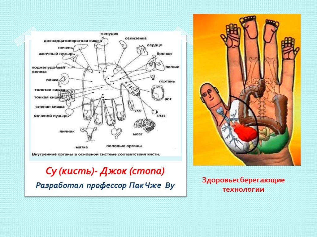 Проект су джок терапия