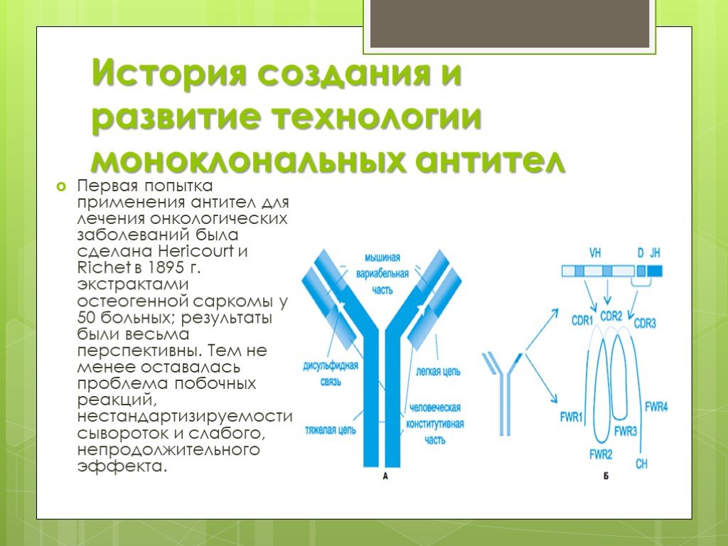 Применение моноклональных антител в стоматологии презентация