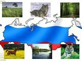 Численность населения России и Тульской области