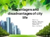 Advantages and disadvantages of city life
