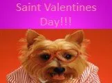 Saint Valentines Day!!!