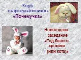 Год Белого кролика (кота)