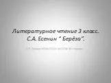 “Берёза” С.А. Есенин