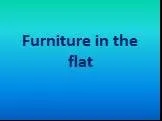 Furniture in the flat