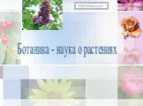 Ботаника - наука о растениях