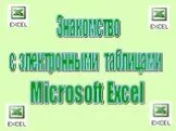 Microsoft Excel-электронные таблицы