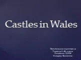 Замки уэльса
