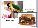Молочный коктейль «Burger King». Hardee's Monster Thickburger