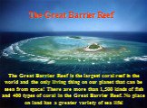 The Great Barrier Reef. The Great Barrier Reef is the largest coral reef in the world and the only living thing on our planet that can be seen from space! There are more than 1,500 kinds of fish and 400 types of coral in the Great Barrier Reef. No place on land has a greater variety of sea life!
