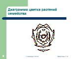 Диаграмма цветка растений семейства