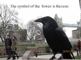 The symbol of the Tower is Ravens