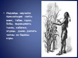 Индейцы научили пришельцев сеять маис, табак, горох, бобы, выращивать тыкву, кабачки, огурцы, дыни, делать челны из берёзы коры.