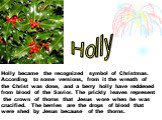 Holly became the recognized symbol of Christmas. According to some versions, from it the wreath of the Christ was done, and a berry holly have reddened from blood of the Savior. The prickly leaves represent the crown of thorns that Jesus wore when he was crucified. The berries are the drops of blood