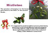 Mistletoe. The practice of hanging it in the house goes back to the times of the ancient Druids. It is supposed to possess mystical powers which bring good luck to the household and ward off evil spirits. It was also used as a sign of love and friendship in Norse mythology and that's where the custo