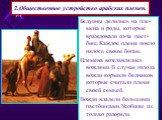 2.Общественное устройство арабских племен. Бедуины делились на пле-мена и роды, которые враждовали из-за паст-бищ.Каждое племя покло нялось своим богам. Племена возглавлялись вождями.В случае голода вожди кормили бедняков которые считали племя своей семьей. Вожди владели большими пастбищами.Усобицы 