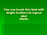 You can teach this bird with bright feathers to repeat your words.