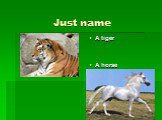 Just name A tiger A horse