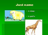 A sheep A giraffe
