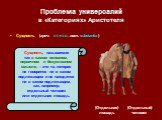 Проблема универсалий в «Категориях» Аристотеля. (Отдельная) лошадь. (Отдельный) человек. Сущность, называемая так в самом основном, первичном и безусловном смысле, – это та, которая не говорится ни о каком подлежащем и не находится ни в каком подлежащем, как, например, отдельный человек или отдельна