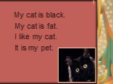 I. My cat is black. My cat is fat. I like my cat. It is my pet.