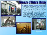 The American Museum of Natural History has a scientific staff of more than 200, and sponsors over 100 special field expeditions each year. The Museum boasts habitat groups of African, Asian and North American mammals, the "Star of India", the largest blue sapphire in the world, an interest