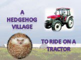 A hedgehog village To ride on a tractor
