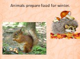 Animals prepare food for winter.
