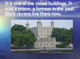 It is one of the oldest buildings. It was a prison, a fortress in the past. Black ravens live there now.