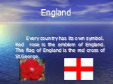 England. Every country has its own symbol. Red rose is the emblem of England. The flag of England is the red cross of St.George.