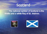 Scotland. The national symbol of Scotland is the thistle and a white flag of St. Andrew.