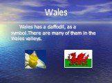 Wales. Wales has a daffodil, as a symbol.There are many of them in the Wales valleys.