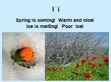 I i. Spring is coming! Warm and nice! Ice is melting! Poor ice!