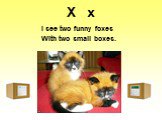 X x. I see two funny foxes With two small boxes.