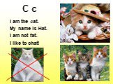 C c. I am the cat. My name is Hat. I am not fat. I like to chat!