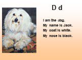 D d. I am the dog. My name is Jack. My coat is white. My nose is black.