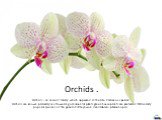 Orchids . Orchids - an ancient family, which appeared in the Late Cretaceous period. Orchids are known primarily as a flowering ornamental plants,greenhouse plants are preferred. Particularly popular species of the genera Cattleya won, dendrobium, phalaenopsis.