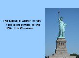 The Statue of Liberty in New York is the symbol of the USA. It is 46 meters.