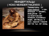 Неандертальцы ( Homo neanderthalensis ). Палеоантропы (от палео-древний.. и греч. anthropos — человек), обобщённое (не систематическое) название ископаемых людей, обитавших в Азии, Африке и Европе 250—35 тыс. лет назад.