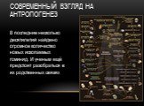 Современный взгляд на антропогенез. В последние несколько десятилетий найдено огромное количество новых ископаемых гоминид. И ученым ещё предстоит разобраться в их родственных связях