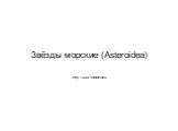 Звёзды морские (Asteroidea). http://www.floranimal.ru