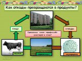 Как отходы превращаются в продукты? Организмы каких «профессий» участвуют в этом? «едоки»