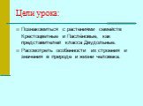Цели урока: Познакомиться с растениями семейств Крестоцветные и Паслёновые, как представителей класса Двудольные. Рассмотреть особенности их строения и значения в природе и жизни человека.