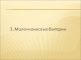 3. Молочнокислые бактерии