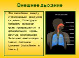 Внешнее дыхание. Это газообмен между атмосферным воздухом и кровью, благодаря которому венозная кровь превращается в артериальную кровь, богатую кислородом. Включает вентиляцию в легких, легочное дыхание (газообмен в легких)